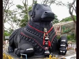 பிரதோஷ வழிபாடு நடத்தும் கிழமைகளின் பலன்கள்.